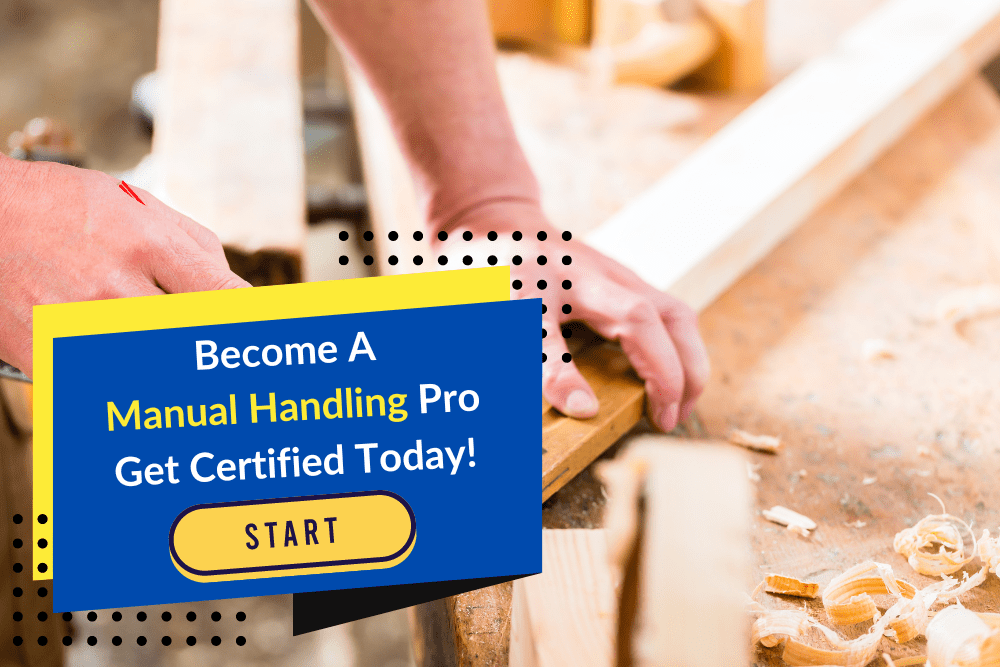 Manual Handling Pro - The Ultimate Manual Handling Course Lift with Confidence